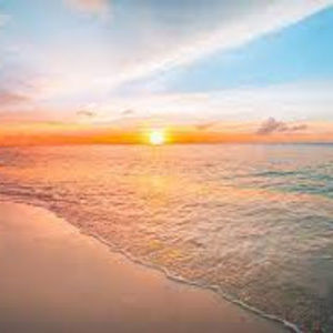 Meet your Posher, Jillian